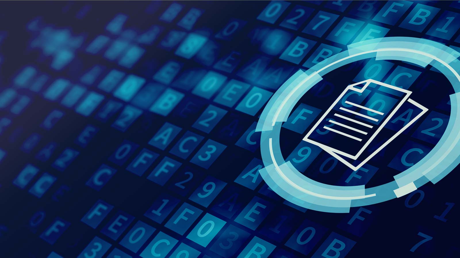 Data Conversion Advantages How To Achieve Them Data C - vrogue.co